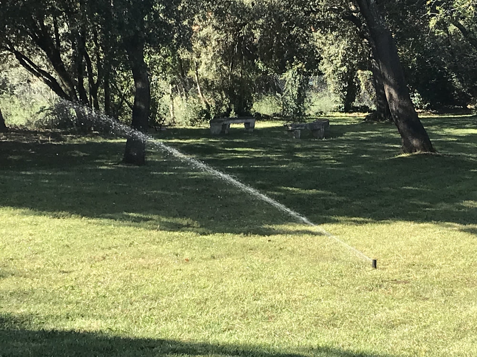 Canon d'arrosage en fonctionnement sur une grande pelouse ombragée par des arbres