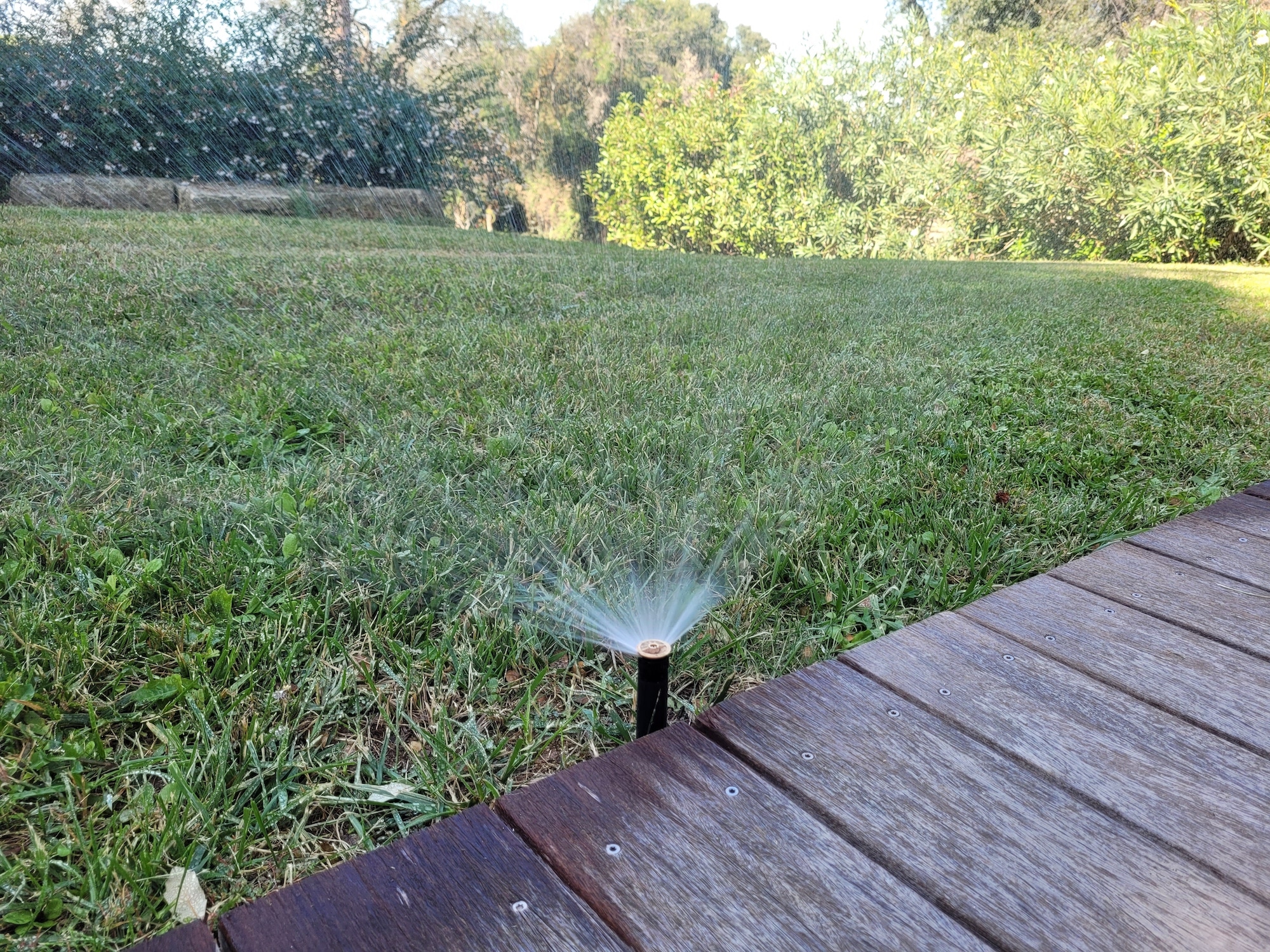 Arroseur escamotable en fonctionnement sur une pelouse, en bordure d'une terrasse en bois